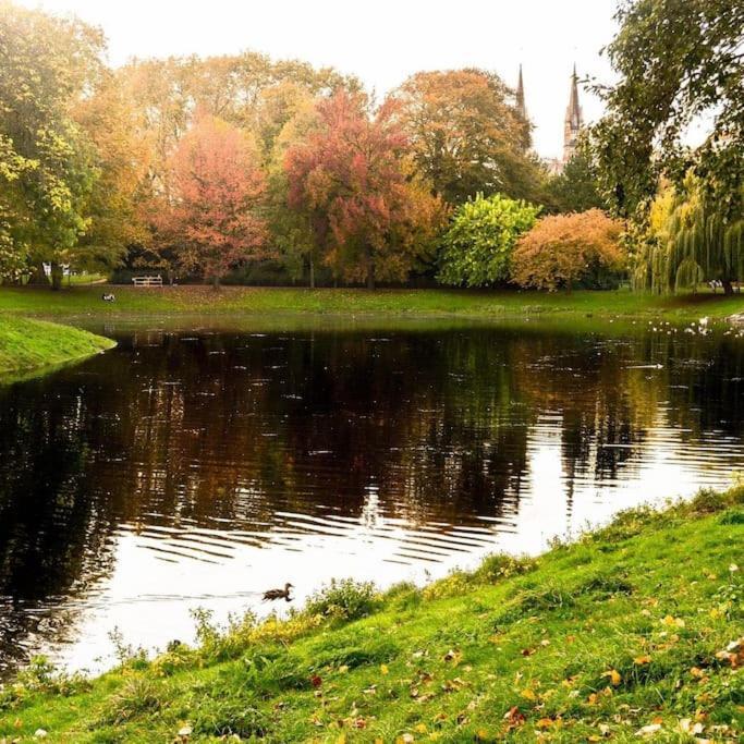 Cosy Appartement Met Tuin In Centrum Antwerpen Gratis Parking Free Parking! Экстерьер фото